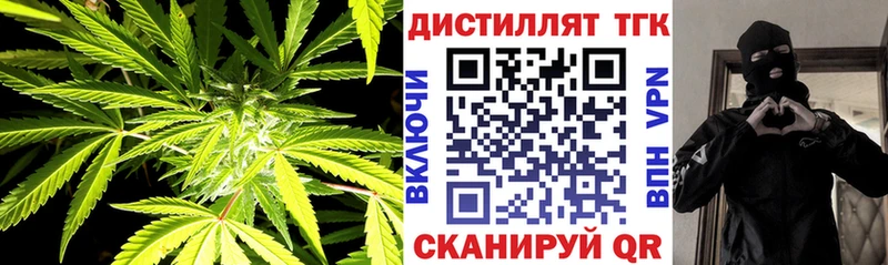 ТГК THC oil  дарнет шоп  Шатура 