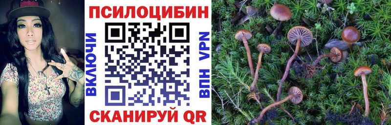 Галлюциногенные грибы прущие грибы  ссылка на мегу сайт  Шатура 