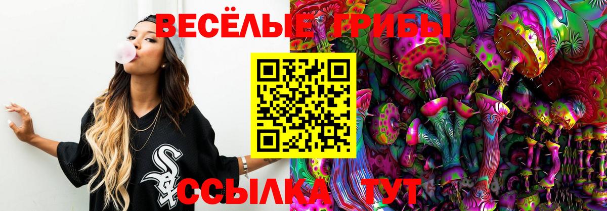 Шатура  Галлюциногенные грибы мицелий  Вход с VPN 