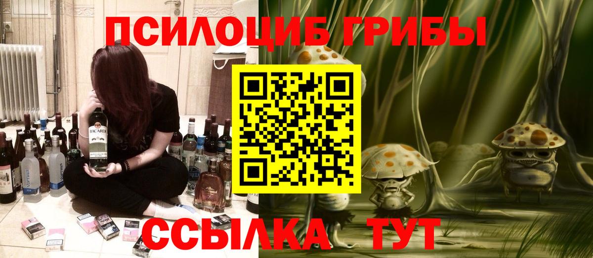 Псилоцибиновые грибы MAGIC MUSHROOMS Шатура