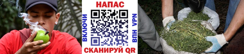 OMG маркетплейс  Шатура  Бошки марихуана планчик 
