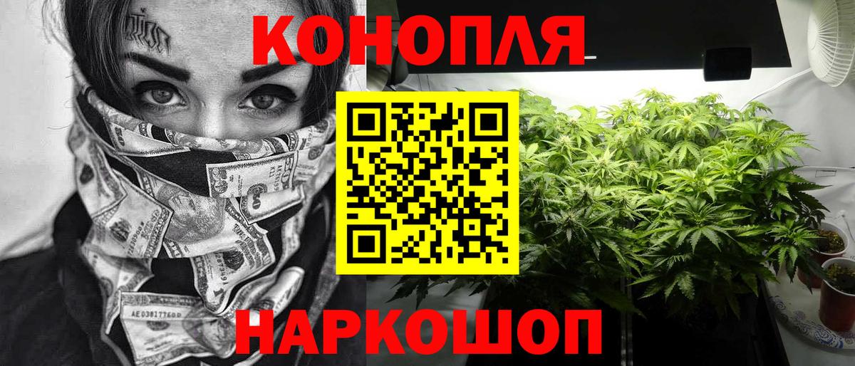 Конопля Bruce Banner  Шатура  Шишки марихуана семена 